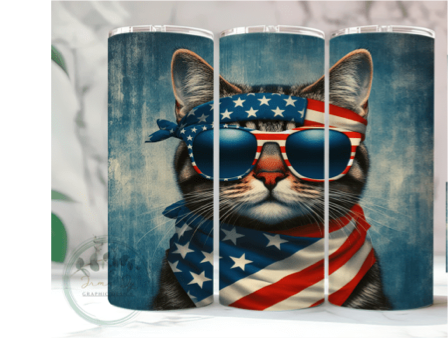Cool USA Kitty!!